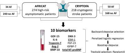 Blood-Based Biomarkers to Search for Atrial Fibrillation in High-Risk Asymptomatic Individuals and Cryptogenic Stroke Patients